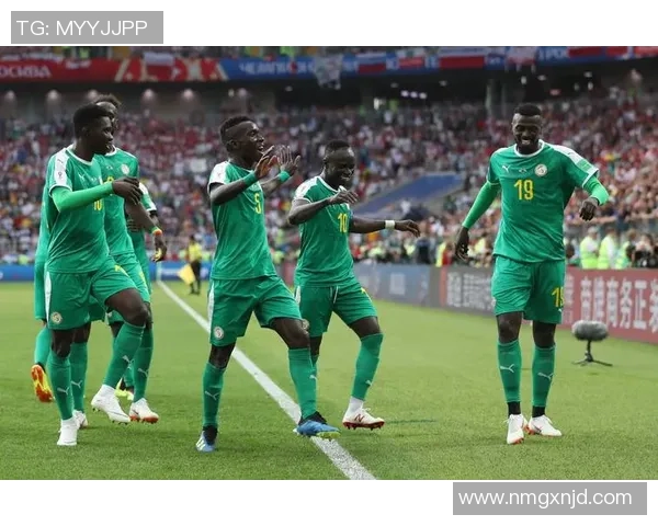 塞内加尔对决强敌展现足球魅力与团队精神的精彩赛事分析