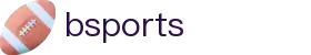 bsports(中国)B—sports登录入口